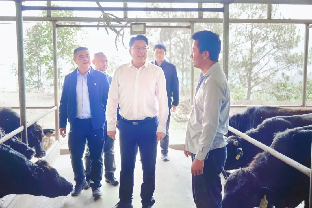 唐兴平在岩帅镇调研时强调：发展壮大特色优势产业 全力推动岩帅革命老区乡村振兴