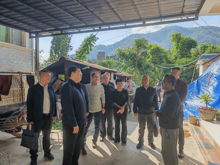 唐兴平在岩帅镇调研时强调：坚持党建引领 发挥资源优势 发展特色产业 推进乡村振兴