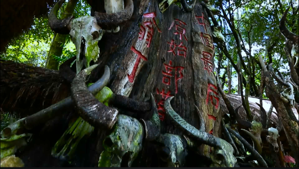 翁丁原始部落文化旅游区