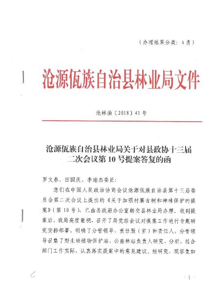 照片