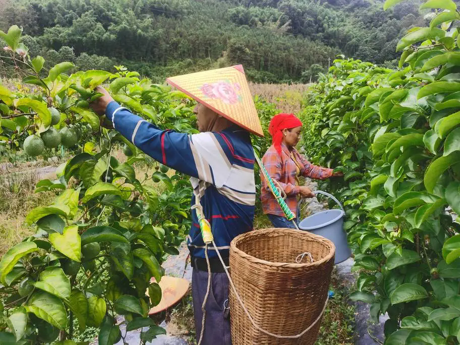 640 (1).webp (1).png