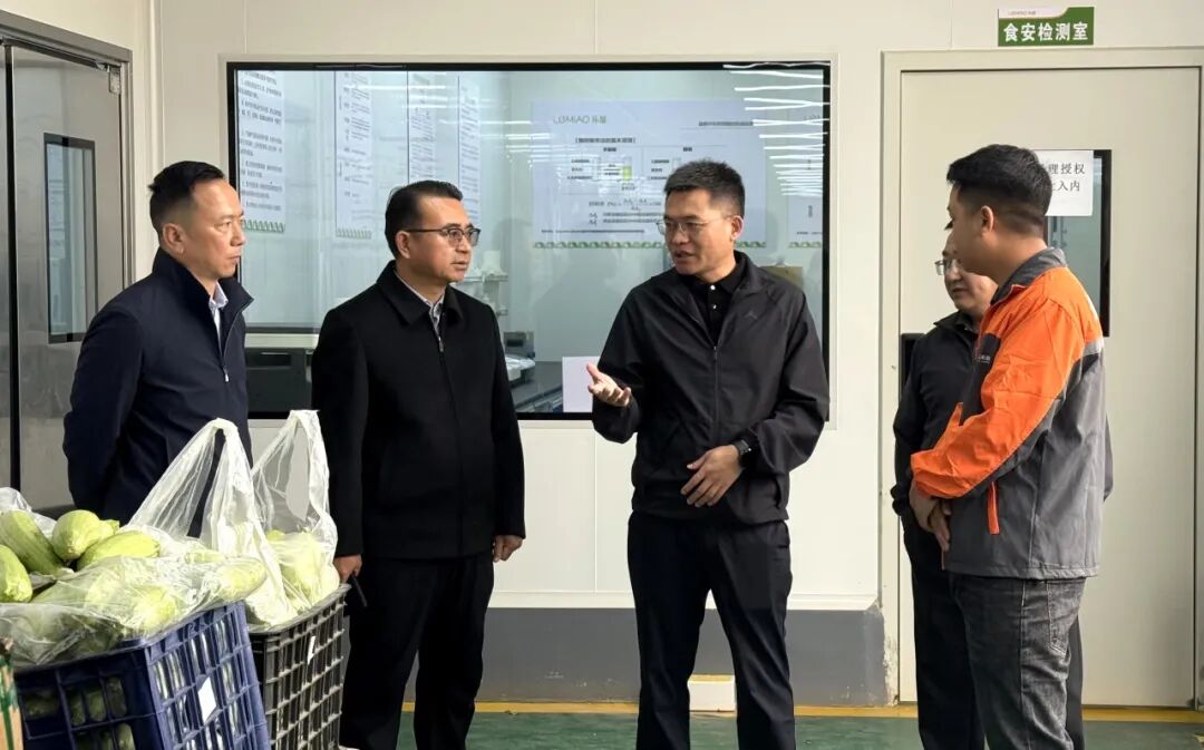 戈正旗在调研近期重点工作时强调：守牢安全生产底线 统筹推进产业发展与民生保障 切实维护群众利益