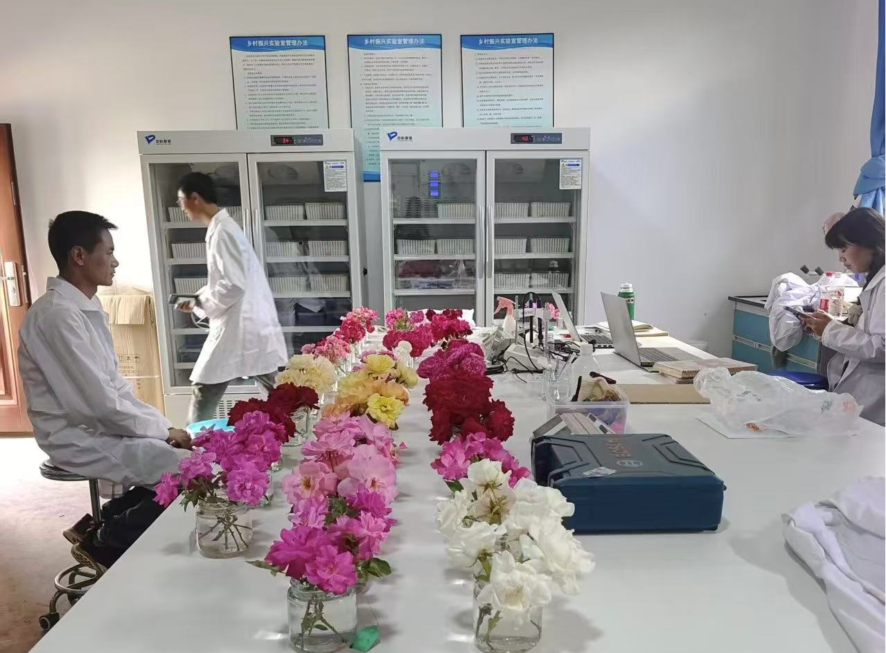 科技团队在实验室开展新品种研发工作.png
